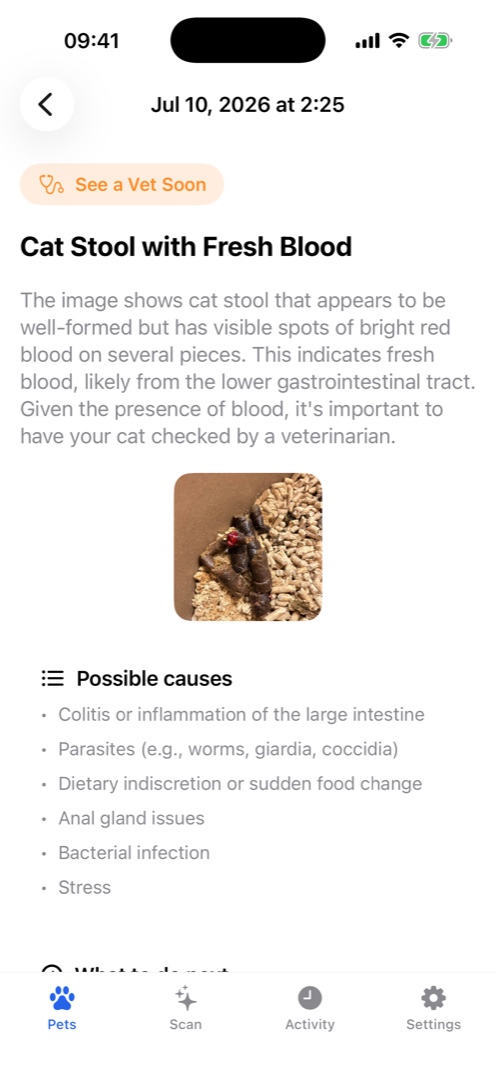 AI Health Check — Mild digestive irregularity
